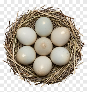Eggs In A Nest PNG