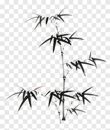 Bamboo Plant PNG