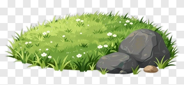 Green Grass With Rocks And Flowers PNG