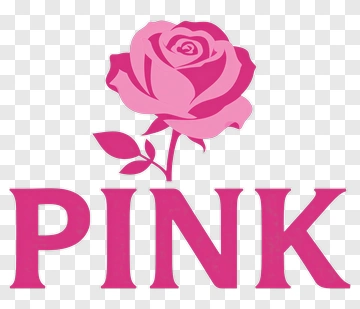 Pink Rose With The Word Pink PNG