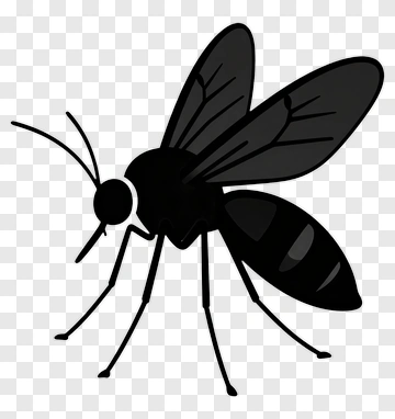 Black Mosquito PNG