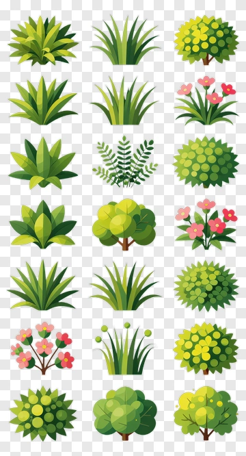 Collection Of Various Green Plants And Bushes PNG