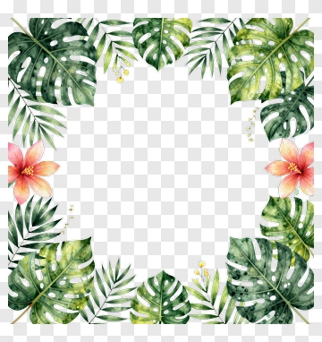 Floral Watercolor Frame With Tropical Leaves PNG
