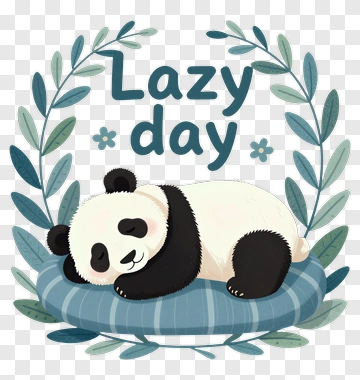 Panda Sleeping On A Lazy Day PNG