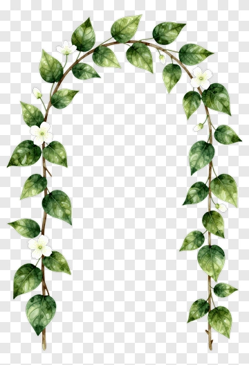 Watercolor Floral Arch With Green Leaves And White Flowers PNG