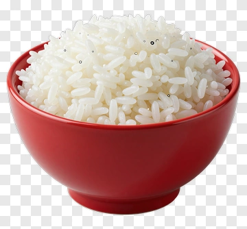 Bowl Of White Rice PNG