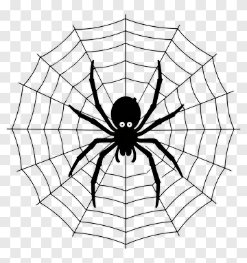 Cartoon Spider In A Web PNG