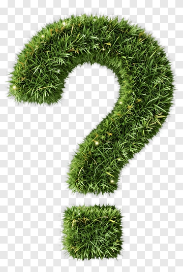 Grass Question Mark PNG