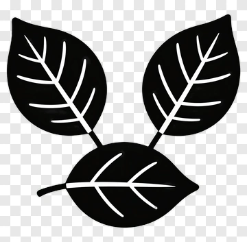 Black Leaves Arrangement PNG