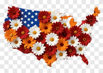 Floral Map Of The United States PNG