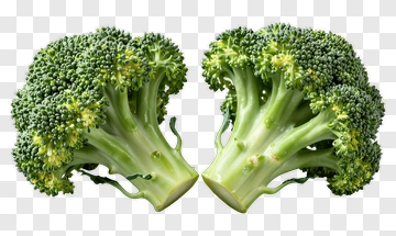 Fresh Broccoli Heads PNG