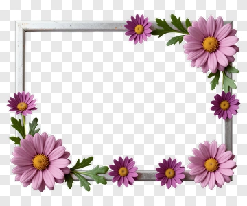 Floral Frame With Pink And Purple Daisies PNG