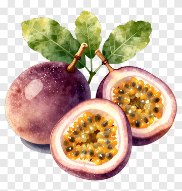 Passion Fruit With Leaves PNG