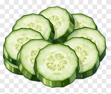 Sliced Cucumber PNG