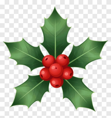 Holly Leaves With Red Berries PNG