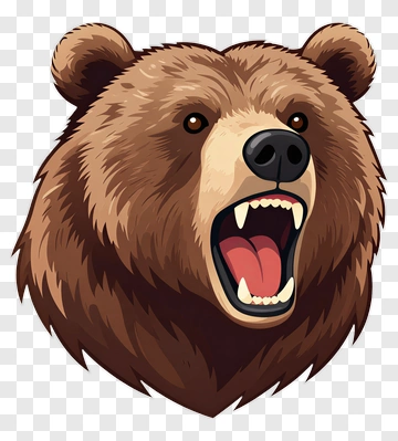 Angry Bear Head Illustration PNG