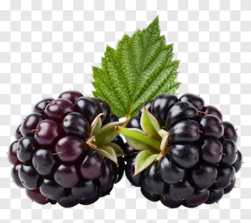 Blackberries With Green Leaf PNG