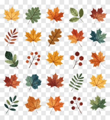 Colorful Autumn Leaves Collection PNG