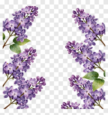 Lilac Flower Arrangement PNG