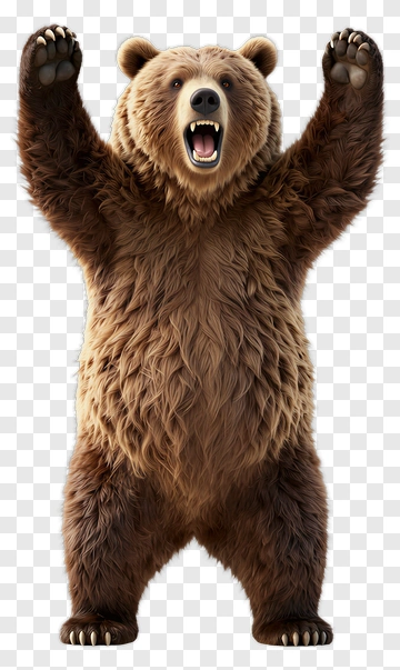 3D Bear Standing With Raised Arms PNG