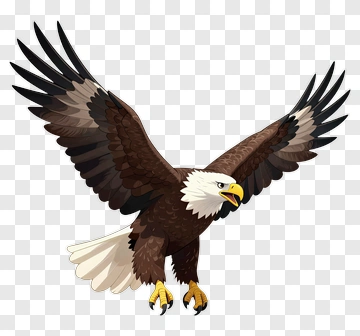 Cartoon Eagle Flying With Outstretched Wings PNG