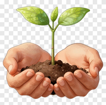Hands Holding A Growing Plant PNG