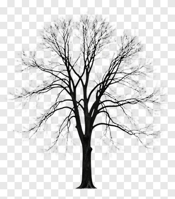 Black Tree With Bare Branches PNG