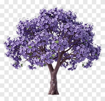 Colorful Tree With Purple Flowers PNG