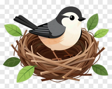 Bird In A Nest With Leaves PNG