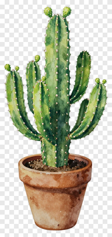 Cactus In A Pot PNG
