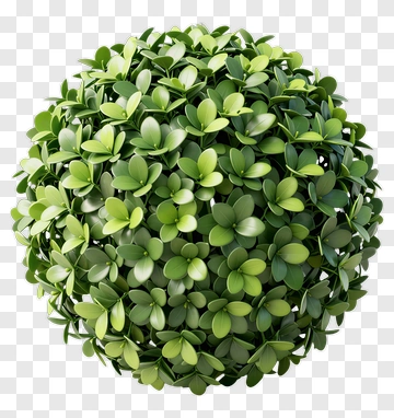 Green Bush Sphere PNG