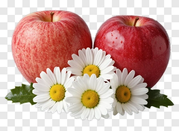 Red Apples With White Daisies PNG