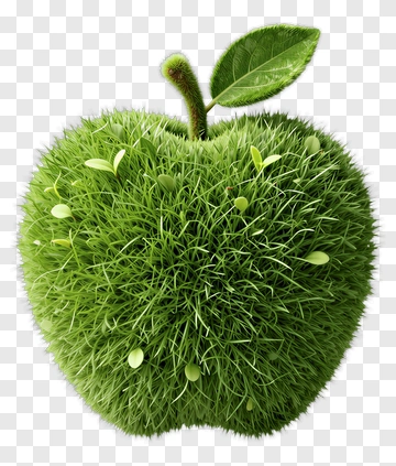 Green Grass Apple PNG
