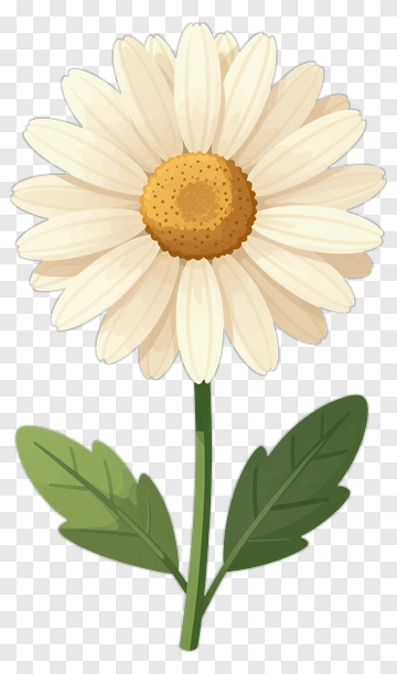 Daisy Flower With Green Leaves PNG