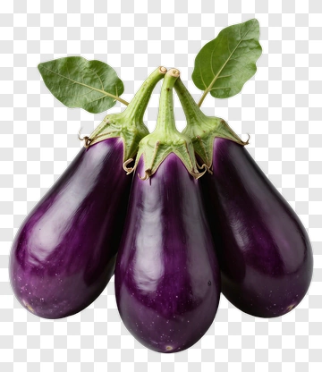 Three Purple Eggplants With Green Leaves PNG