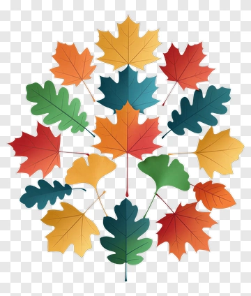 Colorful Autumn Leaves Arrangement PNG