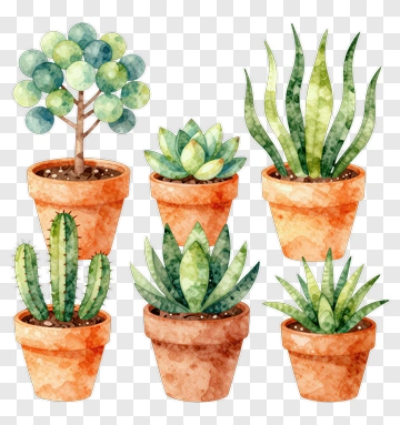 Watercolor Potted Succulents And Cacti PNG