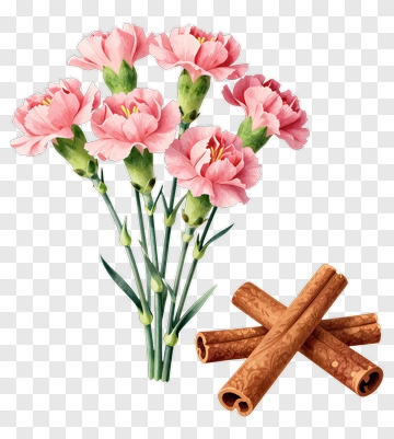 Pink Carnations And Cinnamon Sticks PNG