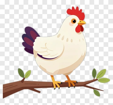 Cartoon Chicken Standing On A Branch PNG