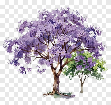 Purple Flowering Tree With Green Foliage PNG