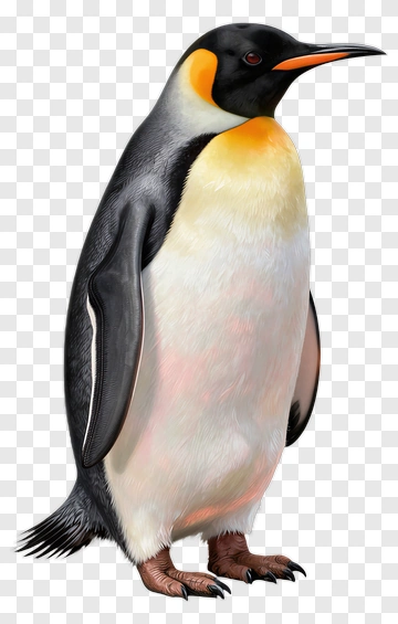Emperor Penguin Standing PNG