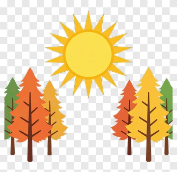 Colorful Autumn Forest With Sun PNG