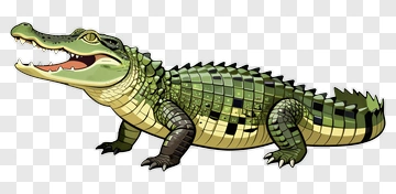Cartoon Alligator With A Grinning Expression PNG