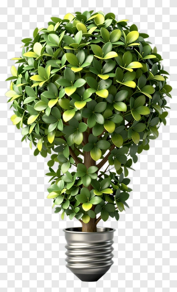 Tree In A Light Bulb PNG