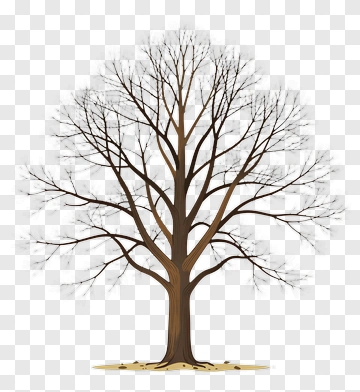 Leafless Tree PNG