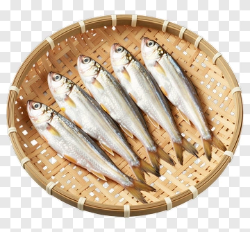 Basket Of Fresh Fish PNG