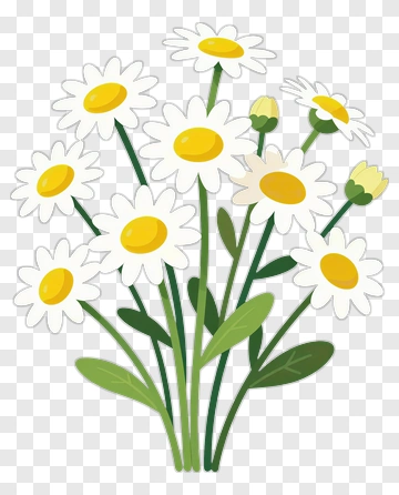 Colorful Flower Bouquet PNG