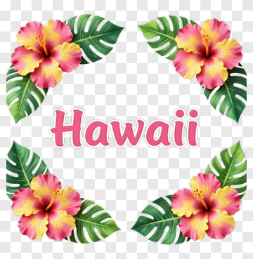 Hawaii Floral Frame With Hibiscus Flowers PNG