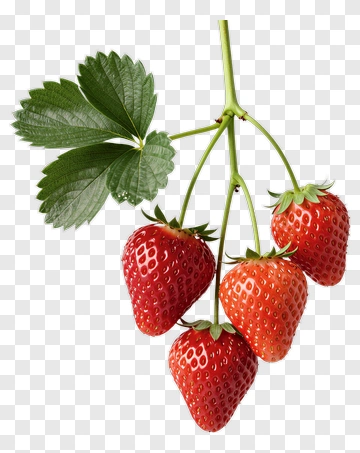 Fresh Strawberries On A Stem PNG