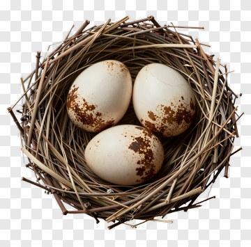 Nest With Three Eggs PNG